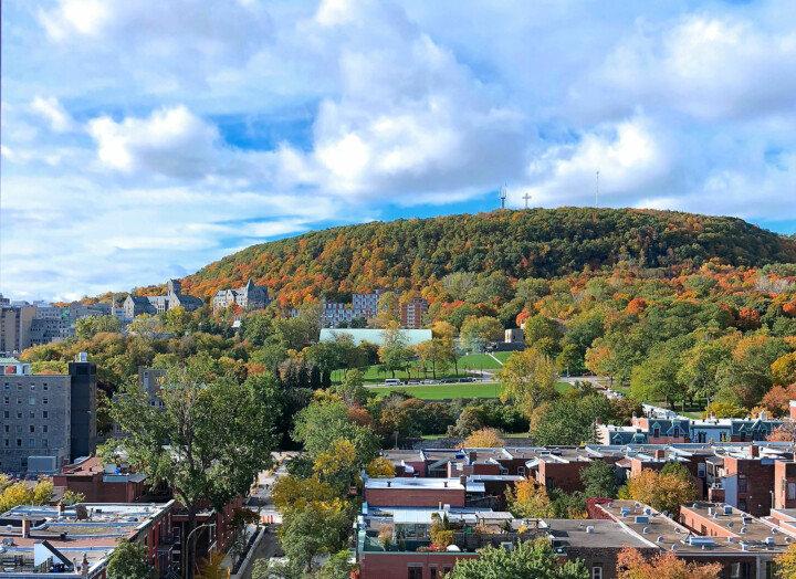 Life_Montreal_1